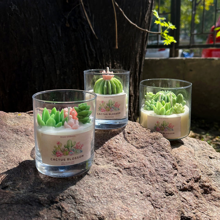 Cactus Blossom