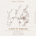 A Dose of Ambrosia