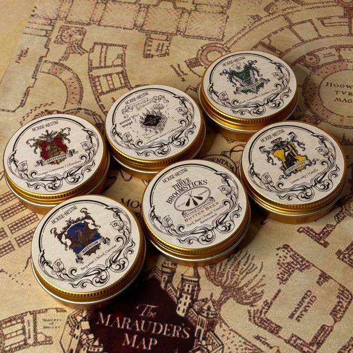 HARRY POTTER DISCOVERY SET