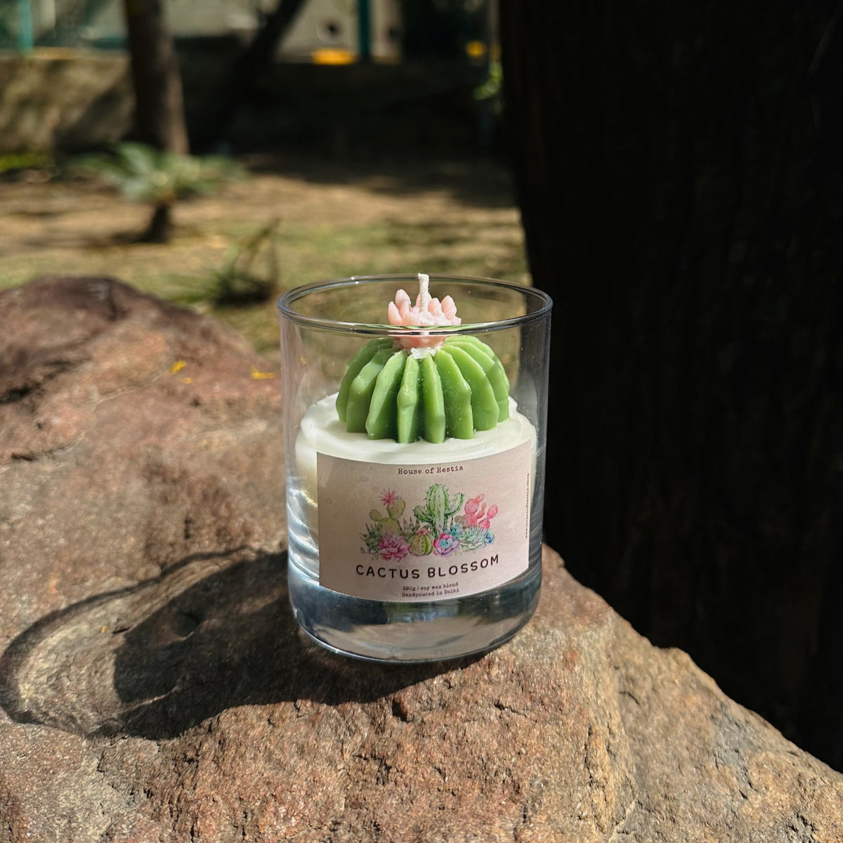 Cactus Blossom