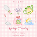 Spring Cleaning