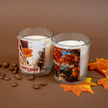 Gilmore Girls Bundle